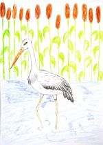 Chudá Maria Magdaléna.jpg